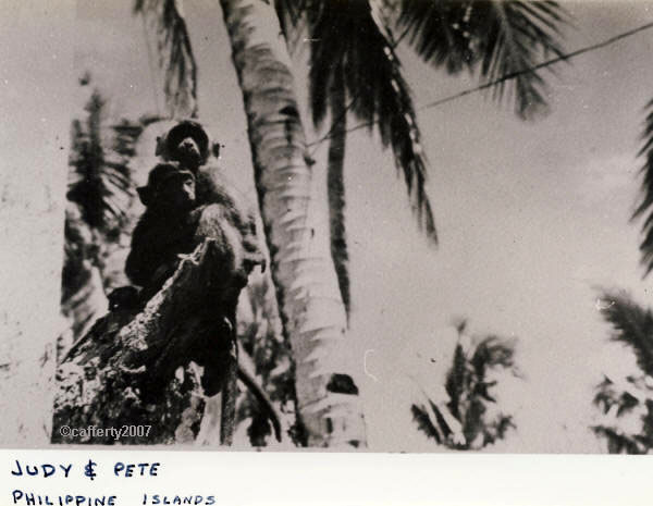 Monkeys Judy and Pete, Philippine Islands WWII